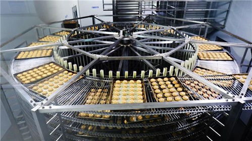 甩開歷史包袱，走好三條路 稻香村集團以技術開發引領高質量發展